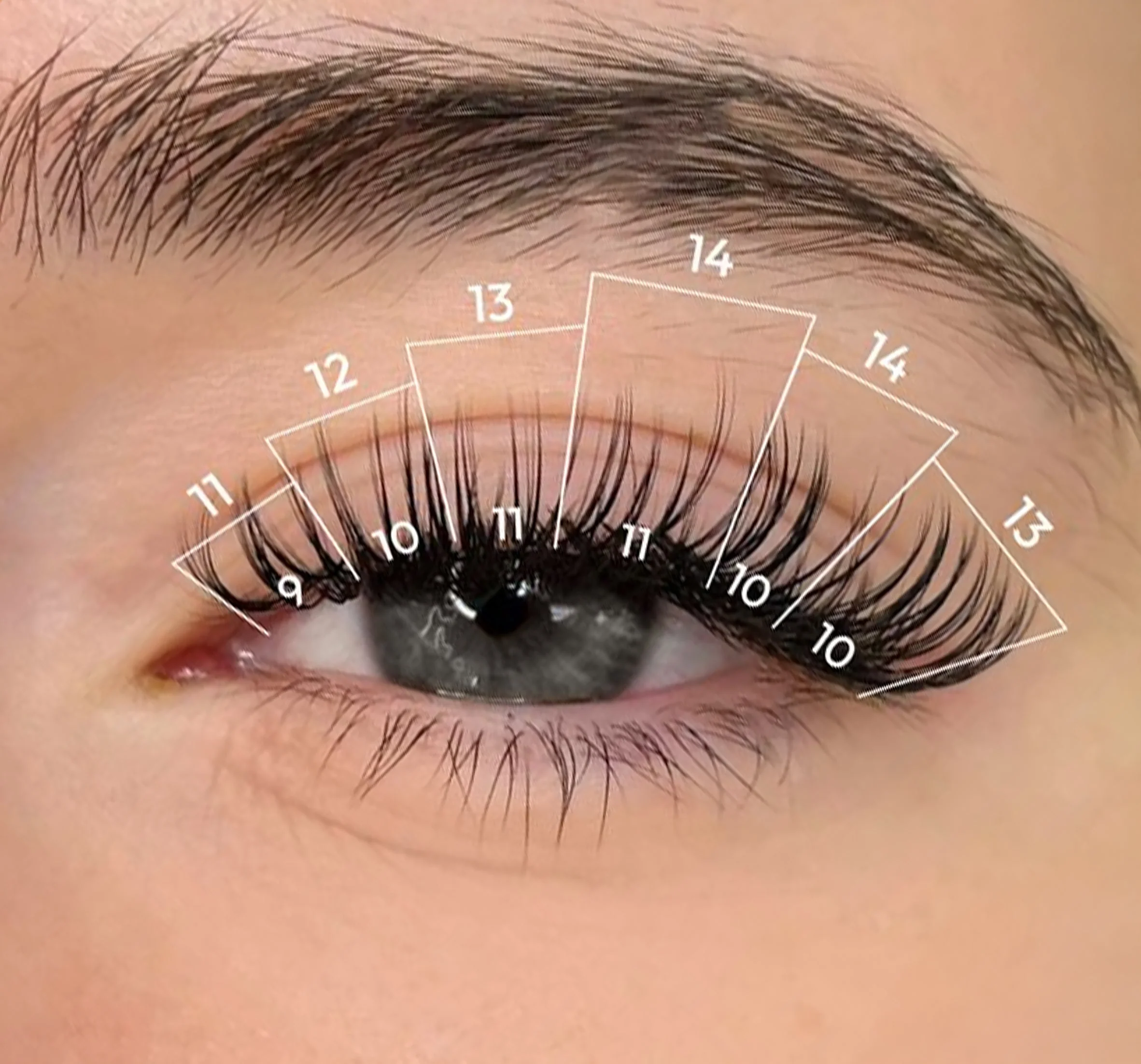 Lash Extensions
